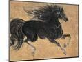 Wood Mount