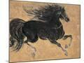 Wood Mount