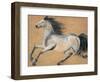 Gilded Stallion 2-null-Framed Art Print