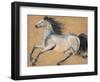 Gilded Stallion 2-null-Framed Art Print