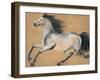 Gilded Stallion 2-null-Framed Art Print