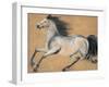 Gilded Stallion 2-null-Framed Art Print