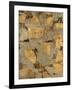 Gilded Stone Gold I-Hugo Wild-Framed Art Print