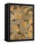 Gilded Stone Gold I-Hugo Wild-Framed Stretched Canvas