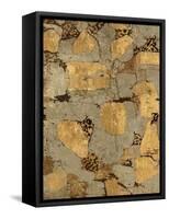 Gilded Stone Gold I-Hugo Wild-Framed Stretched Canvas