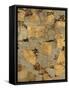 Gilded Stone Gold I-Hugo Wild-Framed Stretched Canvas