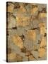 Gilded Stone Gold I-Hugo Wild-Stretched Canvas