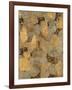 Gilded Stone Gold II-Hugo Wild-Framed Art Print