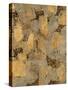 Gilded Stone Gold II-Hugo Wild-Stretched Canvas