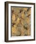 Gilded Stone Gold II-Hugo Wild-Framed Art Print