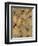 Gilded Stone Gold II-Hugo Wild-Framed Art Print