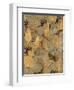 Gilded Stone Gold II-Hugo Wild-Framed Art Print