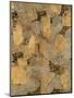 Gilded Stone Gold II-Hugo Wild-Mounted Art Print