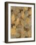 Gilded Stone Gold II-Hugo Wild-Framed Art Print