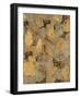 Gilded Stone Gold II-Hugo Wild-Framed Art Print