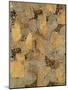 Gilded Stone Gold II-Hugo Wild-Mounted Art Print