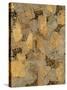 Gilded Stone Gold II-Hugo Wild-Stretched Canvas