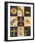 Gilded Story-Arnie Fisk-Framed Art Print