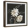 Gilded Sunflowers-Chris Paschke-Framed Art Print