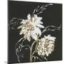 Gilded Sunflowers-Chris Paschke-Mounted Art Print