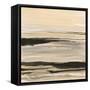 Gilded Surf-Chris Paschke-Framed Stretched Canvas