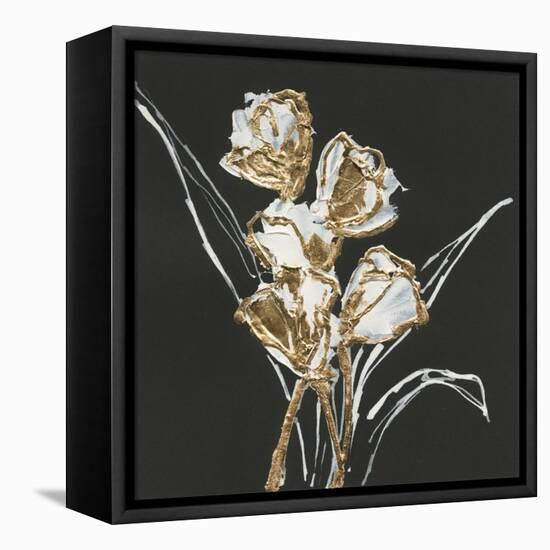 Gilded Tulips-Chris Paschke-Framed Stretched Canvas