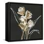 Gilded Tulips-Chris Paschke-Framed Stretched Canvas