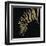 Gilded Zebra on Black-Chris Paschke-Framed Art Print