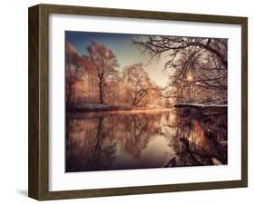 Gilding-Philippe Sainte-Laudy-Framed Photographic Print