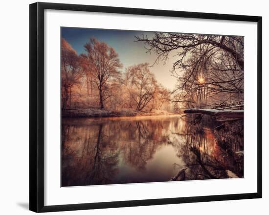 Gilding-Philippe Sainte-Laudy-Framed Photographic Print