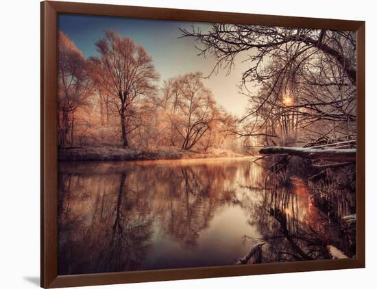 Gilding-Philippe Sainte-Laudy-Framed Photographic Print