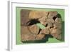 Gilgamesh Tablet Written in Cuneiform Script Artifact from Nineveh, Iraq-null-Framed Giclee Print