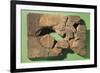 Gilgamesh Tablet Written in Cuneiform Script Artifact from Nineveh, Iraq-null-Framed Giclee Print