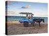 Gili Islands, Indonesia-Micah Wright-Stretched Canvas