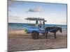 Gili Islands, Indonesia-Micah Wright-Mounted Photographic Print
