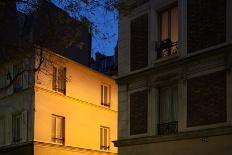 Detail of a rooster, windowshop in Lisbon, Portugal. September 2011-Gilles Targat-Framed Photographic Print