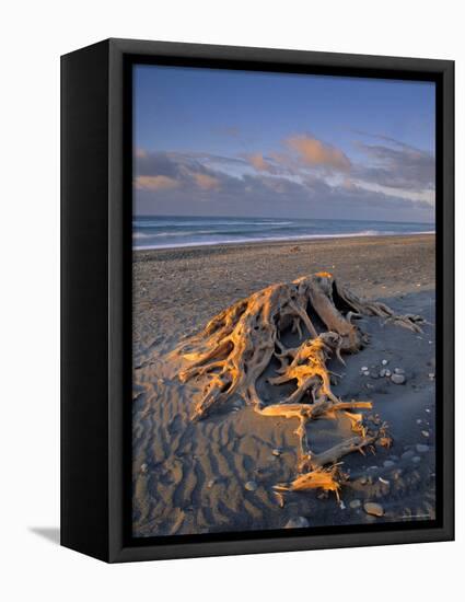 Gillespie's Beach, West Coast, South Island, New Zealand-Jon Arnold-Framed Stretched Canvas