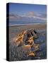 Gillespie's Beach, West Coast, South Island, New Zealand-Jon Arnold-Stretched Canvas