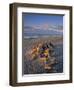 Gillespie's Beach, West Coast, South Island, New Zealand-Jon Arnold-Framed Photographic Print