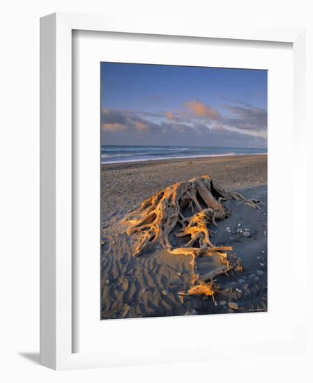 Gillespie's Beach, West Coast, South Island, New Zealand-Jon Arnold-Framed Photographic Print