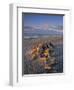 Gillespie's Beach, West Coast, South Island, New Zealand-Jon Arnold-Framed Photographic Print