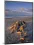 Gillespie's Beach, West Coast, South Island, New Zealand-Jon Arnold-Mounted Photographic Print
