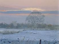 Winter Sunset, 1997-Gillian Furlong-Giclee Print