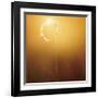 Gilly-Bob Larson-Framed Giclee Print