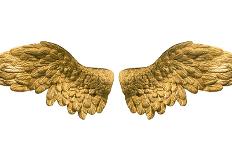 Raster Version of Golden Wings-Gilmanshin-Framed Art Print
