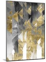 Gilt Reflections II-Chariklia Zarris-Mounted Art Print