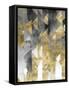 Gilt Reflections II-Chariklia Zarris-Framed Stretched Canvas