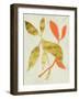 Gilt Tropic I-Chariklia Zarris-Framed Art Print