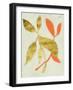 Gilt Tropic I-Chariklia Zarris-Framed Art Print