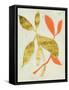 Gilt Tropic I-Chariklia Zarris-Framed Stretched Canvas